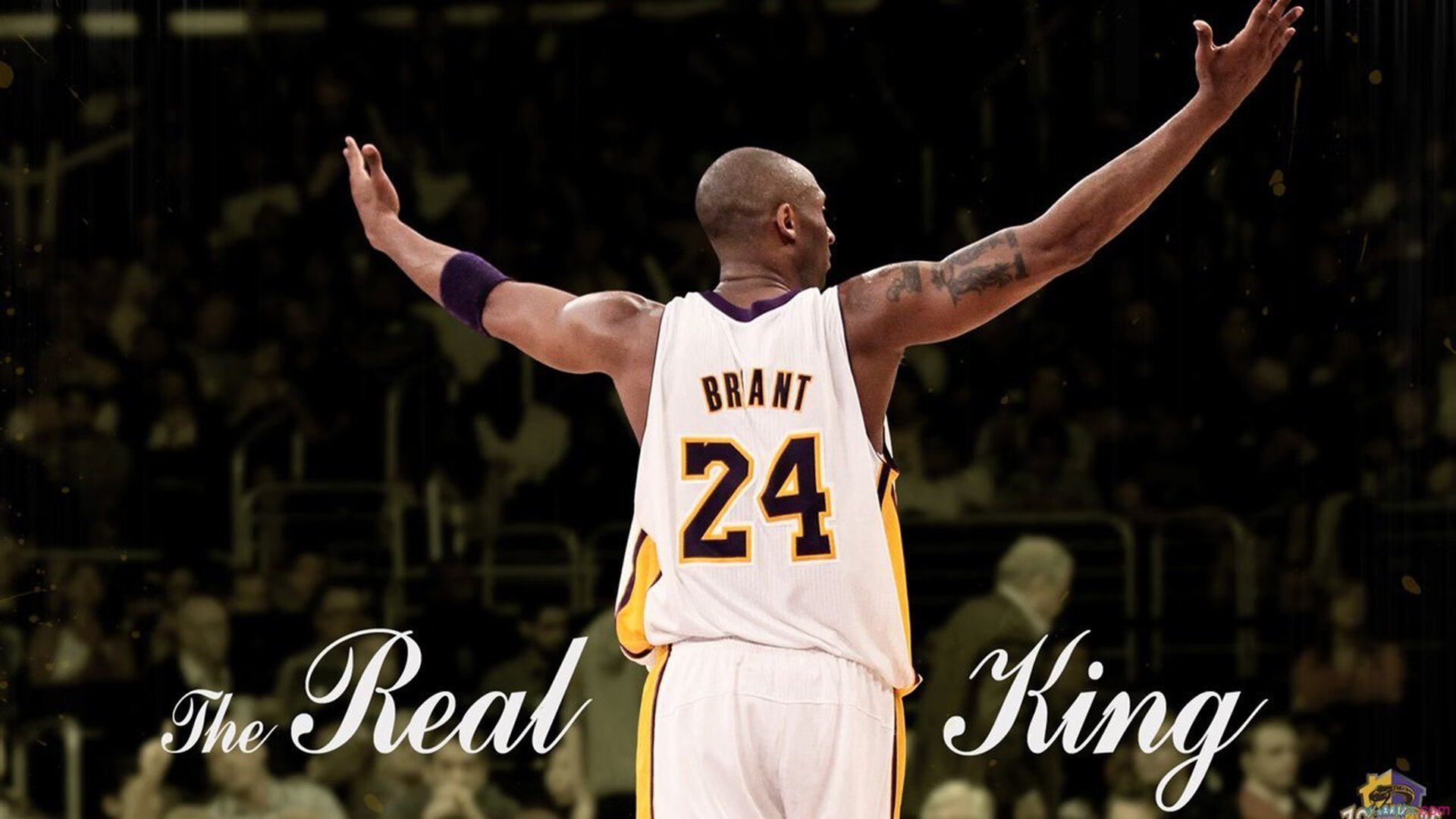 -“逆境中的王者：车手在极端天气下的硬仗”